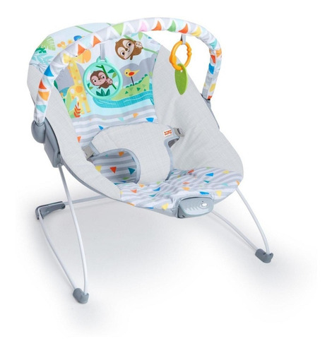 Silla Mecedora Para Bebé Bright Starts Safari Fun 12204 Gris