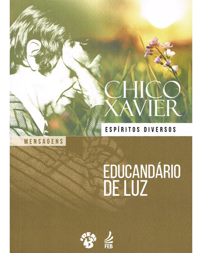 Educandário De Luz: Não Aplica, De Médium: Francisco Cândido Xavier / Ditado Por: Espíritos Diversos. Série Não Aplica, Vol. Não Aplica. Editora Feb, Capa Mole, Edição Não Aplica Em Português, 2023