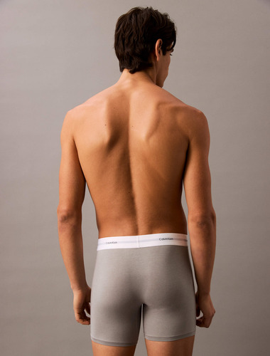 Bóxers Largos Brief Calvin Klein Hombre Multicolor Pack De 3