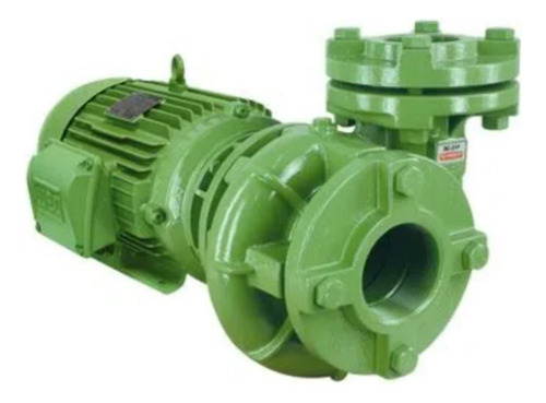 Bomba D'água Centrífuga Bc-21 F 2 1/2 15 Cv Trif Schneider
