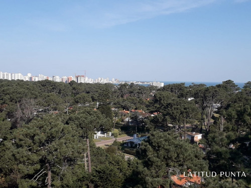 Imagen 2 de 21 de Apartamento En Roosevelt