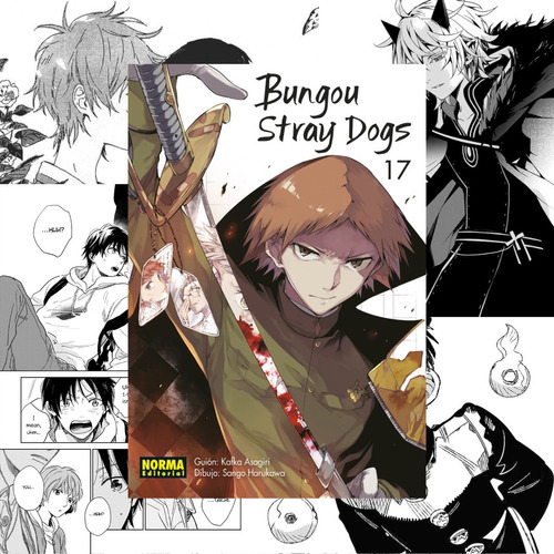 Bungou Stray Dogs 17 - Norma Editorial