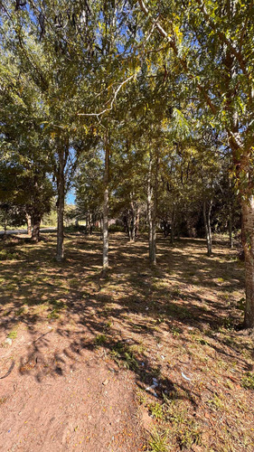 Dos Terrenos En Villa General Belgrano