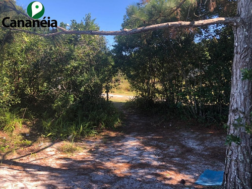 Terreno - 0275 - 32622450