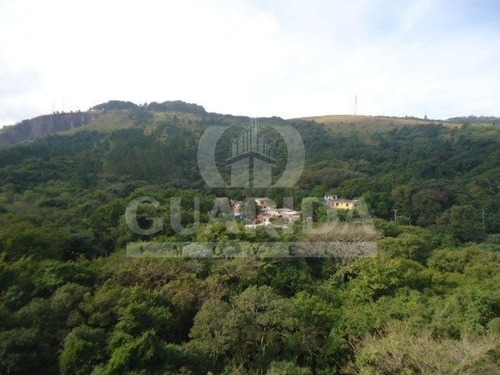 Apartamento - Jardim Carvalho - Ref: 198104 - V-198216