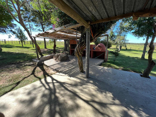 Alquiler Casa De Campo En Minas, Lavalleja Chacra 4 Cuartos