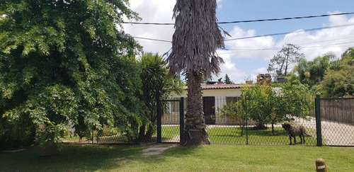 Oportunidad, Casa Dos Dormitorios Y Barbacoa A Reparar
