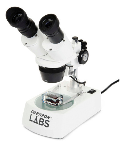 Microscopio Celestron Labs S10-60 Lupa Stereo