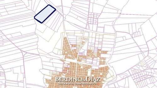 Campo De 32 Has Con Aptitud Para Cantera De Arena A 1 Minuto De San Carlos- Ref: 485