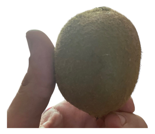 Kiwi Fruta X 2.5 Kilos.