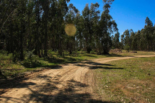 Quinta En Venta En Manantiales