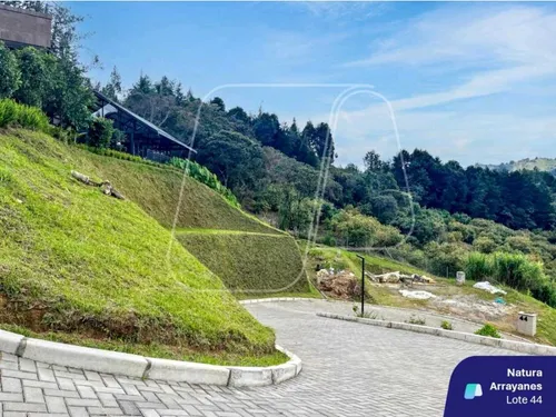Lote Natura Arrayanes Guarne A 5 Min Del Aeropuerto