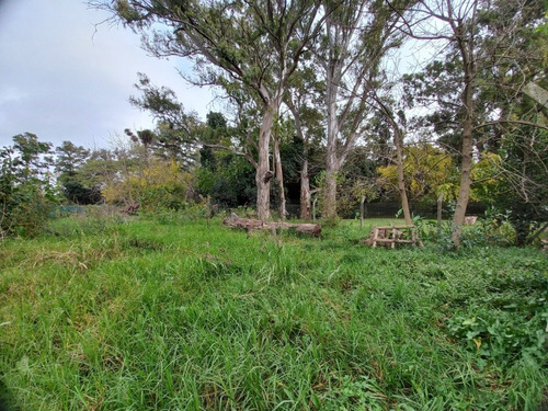 Imagen 7 de 9 de Terreno En Venta. Oportunidad