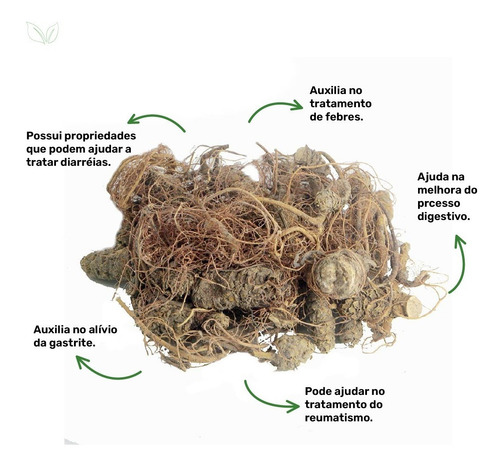 Chá De Carapiá - Dorstenia Brasiliensis L. - 50g