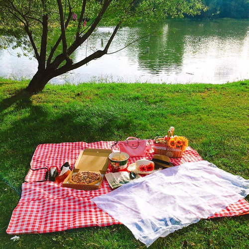 .. Cesta De Picnic De Mimbre Estilo Campestre Con Tapa.