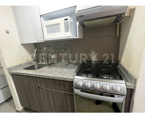 Departamento Amueblado En Renta, Los Reyes, Coyoacan