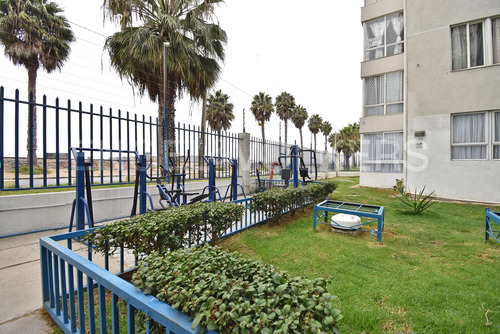 Departamento Para Inversión En Costa De Coquimbo