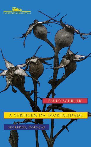 A vertigem da imortalidade, de Schiller, Paulo. Editora Schwarcz SA, capa mole em português, 2000