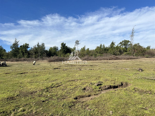 Terreno Construccion En Venta En Colbún