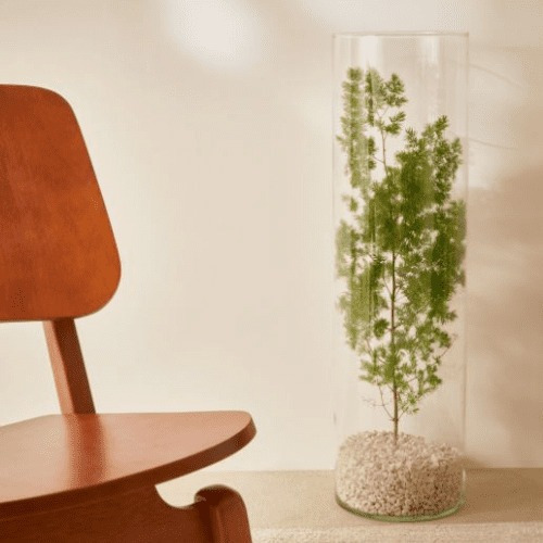 Vaso Em Vidro 27x9cm 16204 Mart