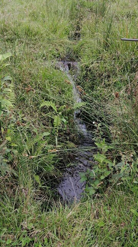 Imagen 3 de 4 de Vendo Finca En Pacho Cundinamarca Area 5 Fanegadas