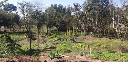 Área À Venda, 70000 M² Por R$ 21.000.000,00 - Jardim Do Triunfo - Guarulhos/sp - Ar0193