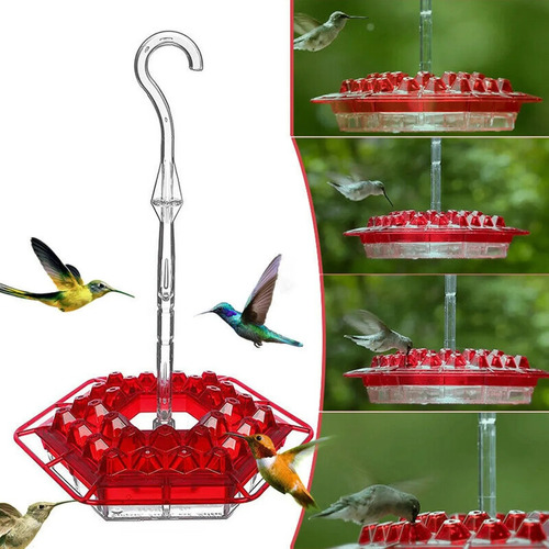 Best Bird Feeder Hummingbird Feeder