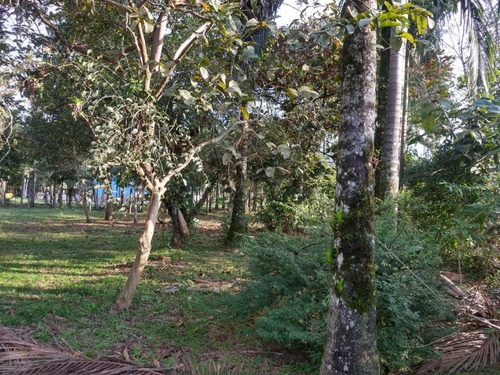 Imagem 5 de 15 de Charmosa Chácara Localizada Na Vila Das Palmeiras - Preço Imperdível - Ch0139