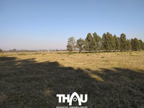 Campo En Puerto Gral San Martin