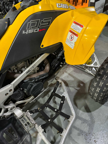 Can-am Ds