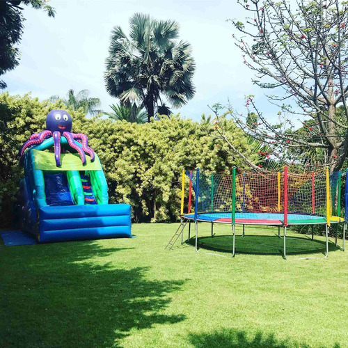 Imagem 2 de 5 de Locação De Pula Pula Para Festa