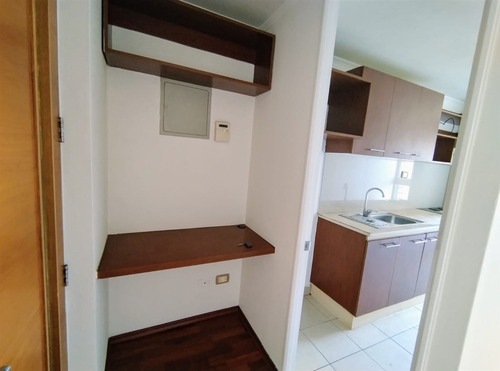 Ideal Inversión En Carmen Con Argomedo