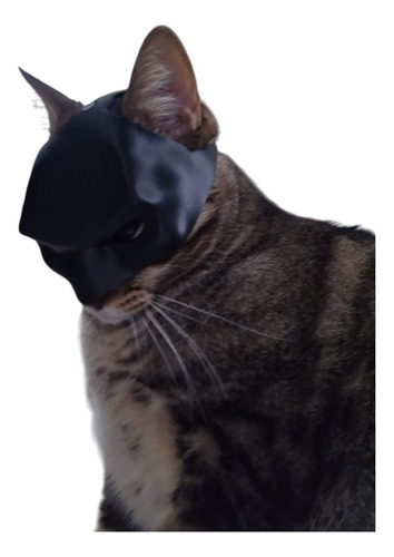 * Mascara De Batman / Batcat Para Gato Disfraz