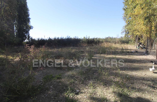 Terreno En Olivar