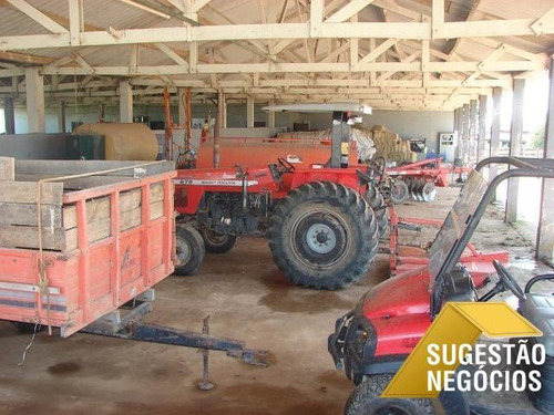 Imagem 1 de 15 de Fazenda Produtiva Região De Sorocaba Oportunidade - 2794