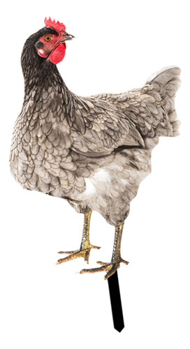 Adorno De Césped De Gallina, Estaca De Patio De Estilo D