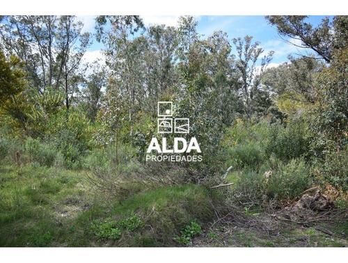 Imagen 3 de 11 de Terreno Punta Colorada Piriápolis Venta Te201488
