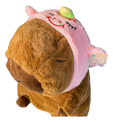 Peluche Con Manta Capibara 40cm Capibara Gorro Unicornio