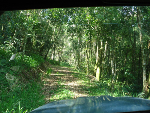 Belíssimo Sítio 5 Alq. Piedade Sp