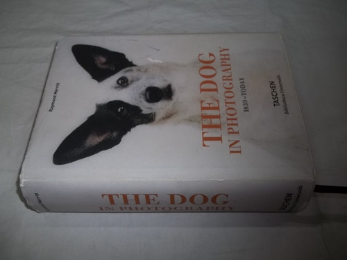 Livro - The Dog In Photography 1839 - Today - Outlet
