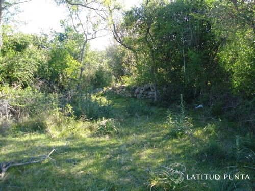 Imagen 11 de 18 de Campo 98 Has Con 2891 M2 En Carape Cuenta Con Costa De Arroyo.