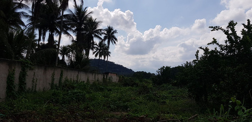 Imagem 20 de 30 de Chácara Em Parque Capivari, Duque De Caxias/rj De 100000m² 2 Quartos À Venda Por R$ 500.000,00 - Ch596274-s