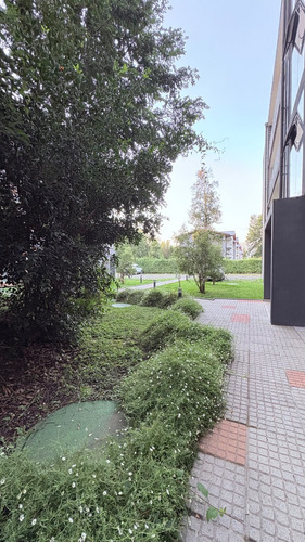 Departamento Soleado En Arriendo Amoblado