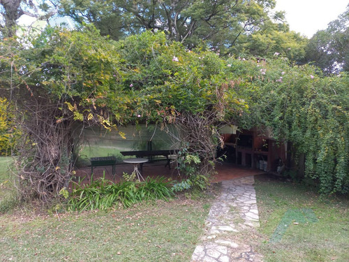 Vmaffia Vende Gran Terreno De 5000m, Ideal Emprendimiento. Calle Saravi A Mtrs De Panamericana.