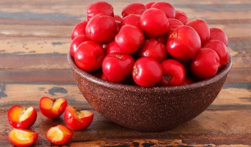 Muda De Acerola - Malpighia Emarginata Para Vasos E Bonsai !