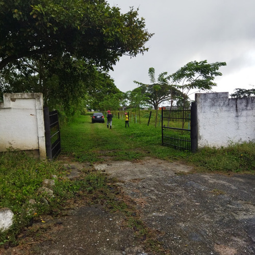 Vc Vende Terreno 10,3 Hectáreas Cocorote San Felipe Yaracuy