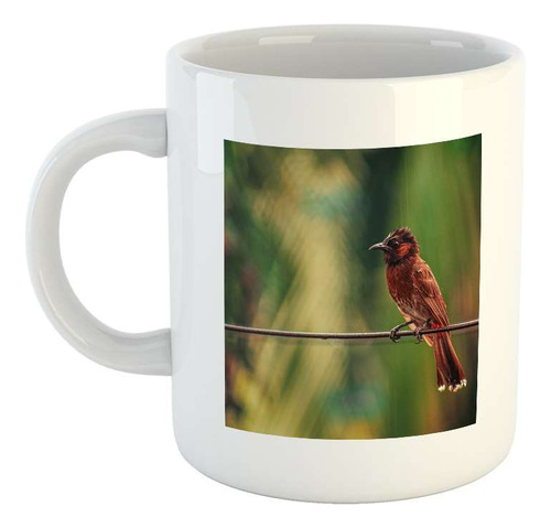 Taza Ceramica Aves 3 Ave Posada En Rama De Arbol