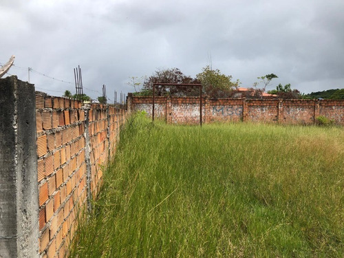 Imagem 7 de 8 de Terreno Com 1.000m2 A Venda Na Estrada Da Cascalheira Em Camaçari - Afd036 - 69204545