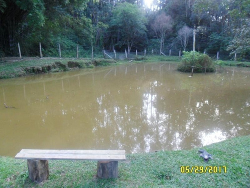 Excelente Chácara Com Lago - Cod: 2890