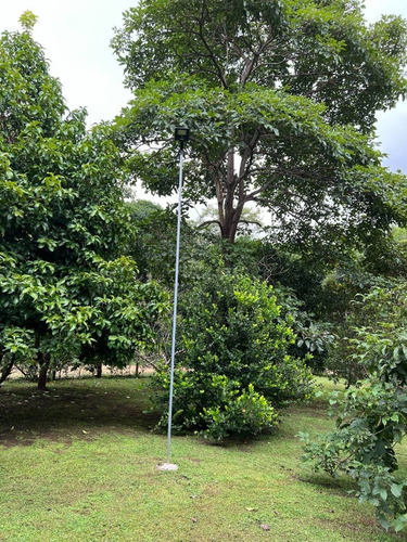 Imagen 12 de 30 de Preciosa Quinta-finca En Labrador De San Mateo De Alajuela, Todos Los Servicios